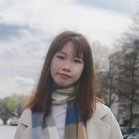 Zhengyou Chen