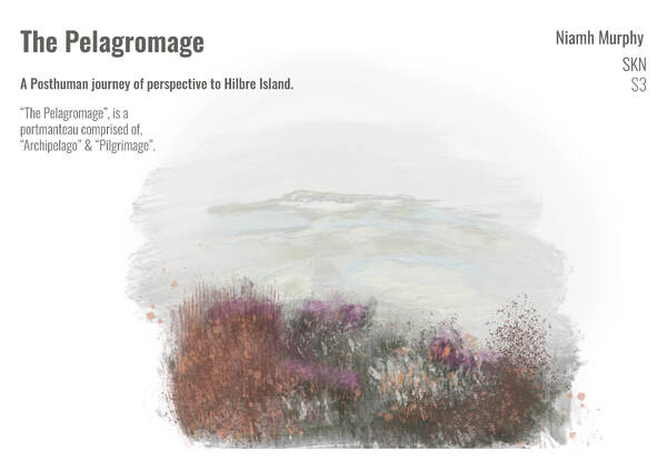 Work by Niamh Murphy