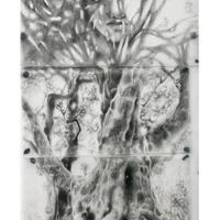 Elise Caddick