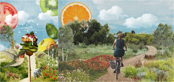 Work by Zehra Goksu Gunes